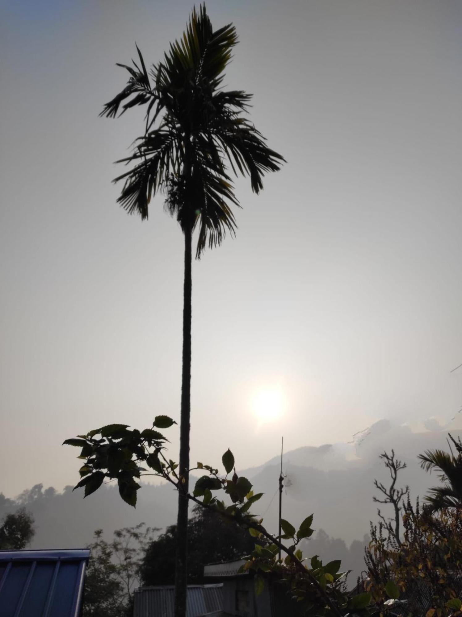 Live In Nature Darjeeling  Exterior foto