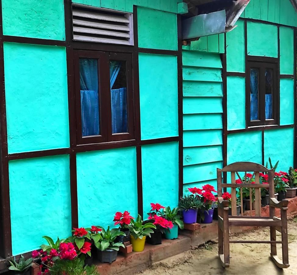 Live In Nature Darjeeling  Exterior foto