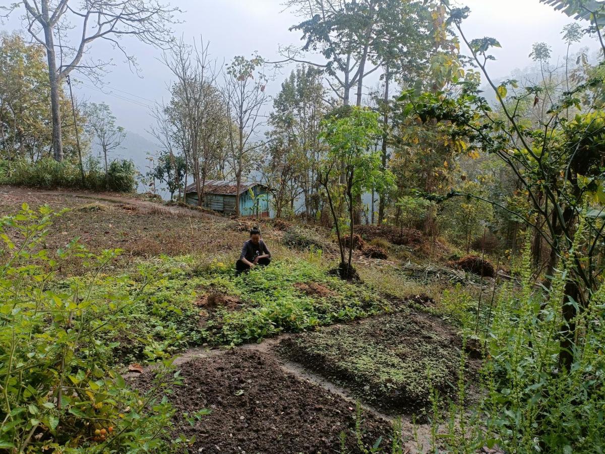 Live In Nature Darjeeling  Exterior foto